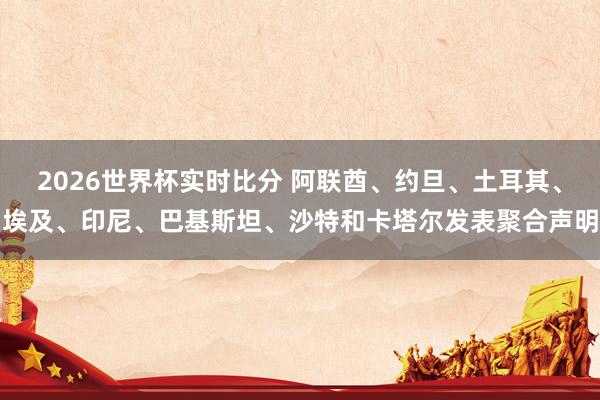 2026世界杯实时比分 阿联酋、约旦、土耳其、埃及、印尼、巴基斯坦、沙特和卡塔尔发表聚合声明