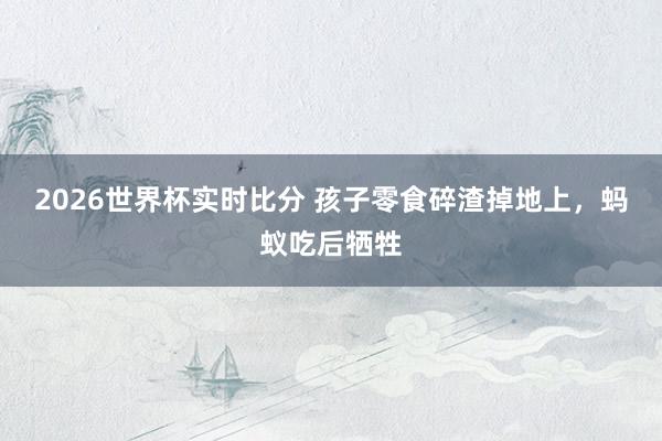 2026世界杯实时比分 孩子零食碎渣掉地上,蚂蚁吃后牺牲