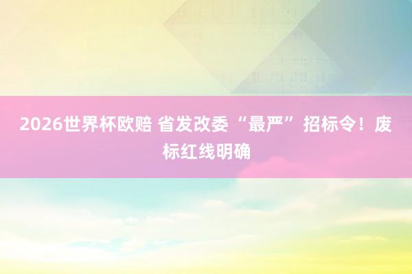2026世界杯欧赔 省发改委 “最严” 招标令！废标红线明确