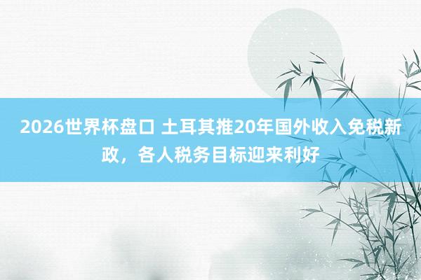 2026世界杯盘口 土耳其推20年国外收入免税新政，各人税务目标迎来利好