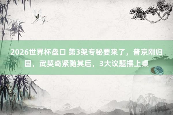 2026世界杯盘口 第3架专秘要来了，普京刚归国，武契奇紧随其后，3大议题摆上桌