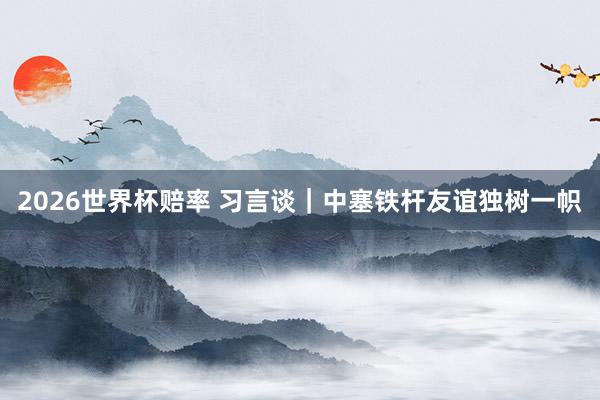 2026世界杯赔率 习言谈｜中塞铁杆友谊独树一帜