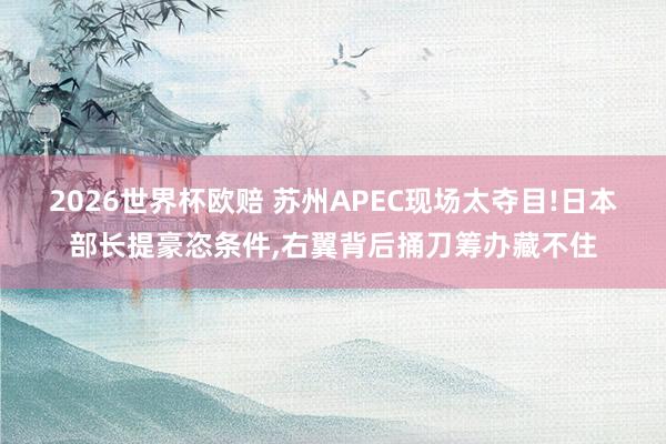 2026世界杯欧赔 苏州APEC现场太夺目!日本部长提豪恣条件，右翼背后捅刀筹办藏不住