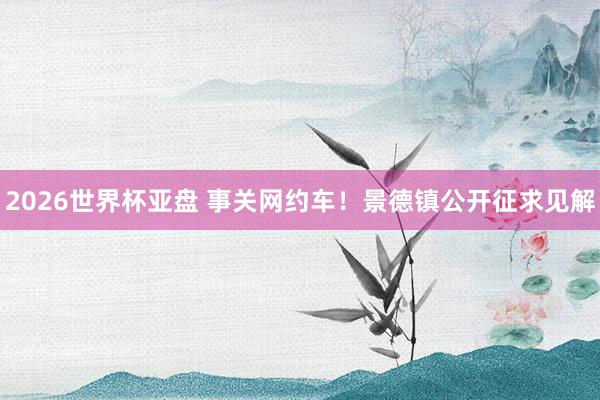 2026世界杯亚盘 事关网约车!景德镇公开征求见解
