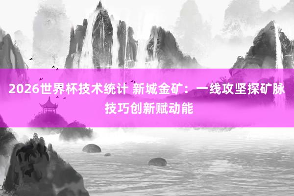 2026世界杯技术统计 新城金矿：一线攻坚探矿脉 技巧创新赋动能