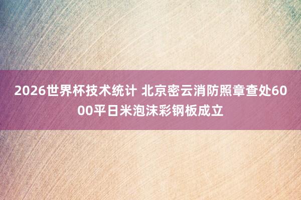 2026世界杯技术统计 北京密云消防照章查处6000平日米泡沫彩钢板成立