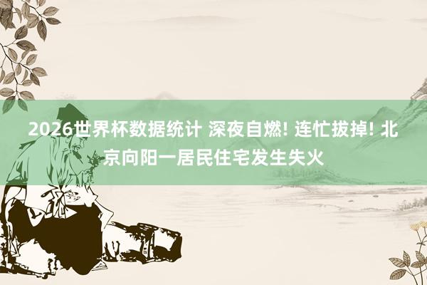 2026世界杯数据统计 深夜自燃! 连忙拔掉! 北京向阳一居民住宅发生失火