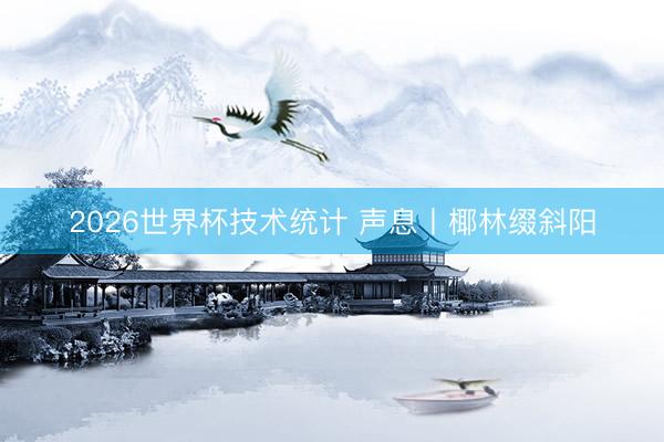 2026世界杯技术统计 声息丨椰林缀斜阳